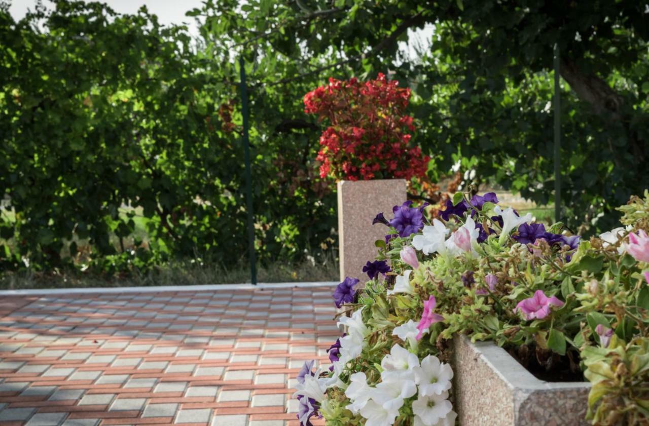 Apartmán Il Rifugio Di San Francesco Bastia Umbra Exteriér fotografie